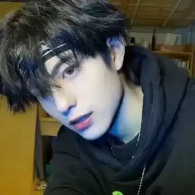 甘芸芸
